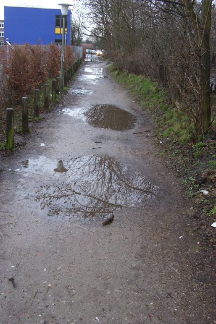 Alltagsnetz Radverkehr Altona im Park (am Othmarscher Kirchenweg)