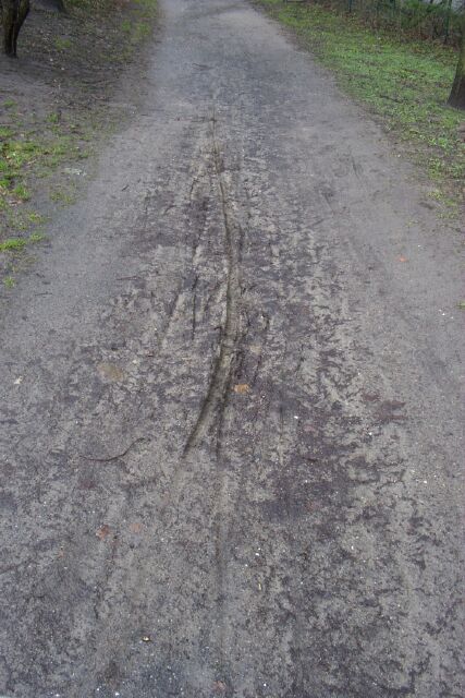 Alltagsnetz Radverkehr Altona im Park - am Golfplatz