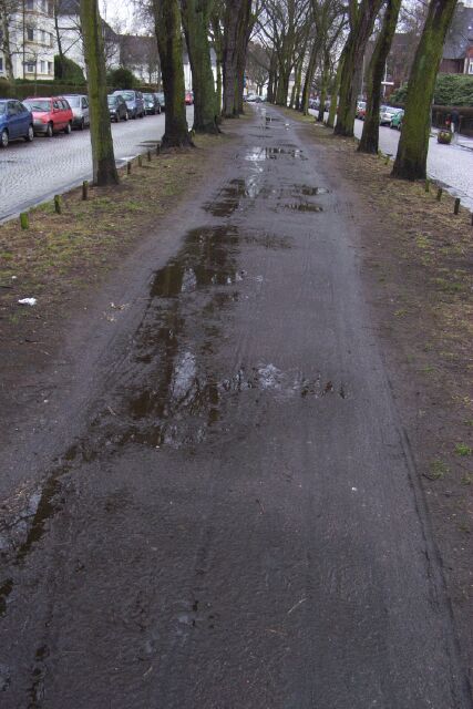 Alltagsnetz Radverkehr Altona in Straßen - Bleickenallee