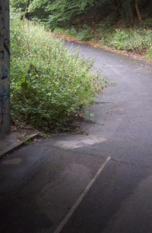 Radweg an der Behringstraße am 26.08.2004