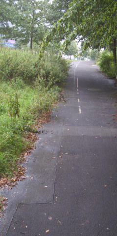 Radweg an der Behringstraße am 26.08.2004