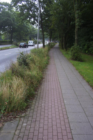 Radweg an der Behringstraße am 26.08.2004